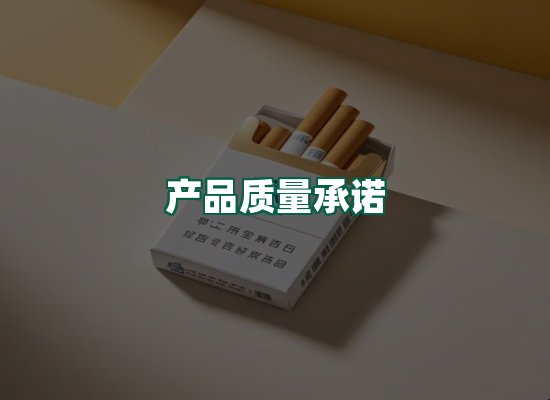 核心优势